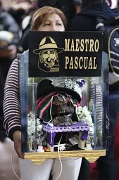 Memento Mori. The Dead Among Us - мініатюра 10