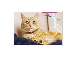 Альбом GOLD BRISK 30арк. 120г/м² "Gold"АВ-32 - мініатюра 4