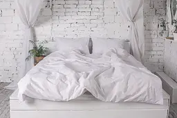 Підковдра Ecotton полуторна 150х215 см Бязь рис.20-0256 White білий (5393)