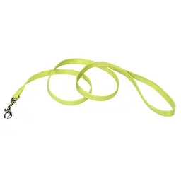Coastal Training Lead повідок для собак нейлон 1.5см х 1.8м (00406_LIM06)