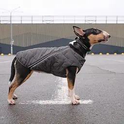 Жилет для собак Pet Fashion E.Vest XS сірий - мініатюра 3