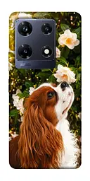 TPU чохол Demsky Flower spaniel для Infinix Note 30 Pro