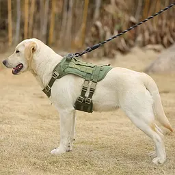 Шлейка для собак Vest, тактичний жилет з ручкою і системою MOLLE, регульований, Зелений L - мініатюра 8