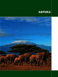 Географія 7 клас. Світ материків і океанів. У пошуках відповідей - Галина Довгань - мініатюра 5