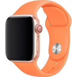 Ремінець Sport Band для Apple Watch 38/40/41mm Papaya [103383] - мініатюра 2
