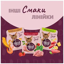 Вологий корм для кішок Delickcious Суп з курки з шинкою та додаванням шпинату 80 г (4820269141599) - мініатюра 7