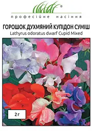 Насіння Горошку Запашного Купідон суміш 2 г (Професійне насіння)