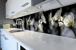 Кухонний фартух Гілки Орхідей вінілова наклейка ПВХ білі квіти на чорному тлі 60х250 см Happy Pocket Z180667