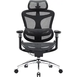 Крісло офісне Sihoo Doro C300 Pro Mesh Black (DORO-C300-PRO-M101)