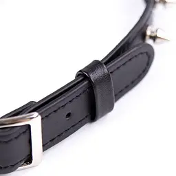 Нашийник з шипами Fetish Addict Collar With Spikes, 43 см (чорний) - мініатюра 2
