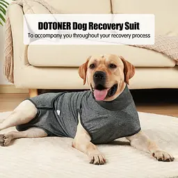 Гігієнічні труси/комбінезон для собак WanTalk Full Body Dog Diaper, Grey, L - мініатюра 2
