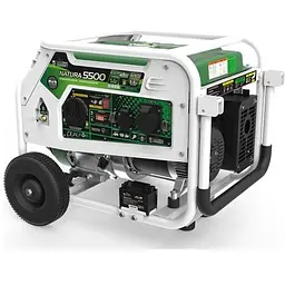 Генератор Genergy Natura 5000 (5 кВт) - мініатюра 3