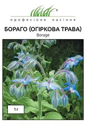 Насіння Бораго-Огіркової трави 1 г (Професійне насіння)