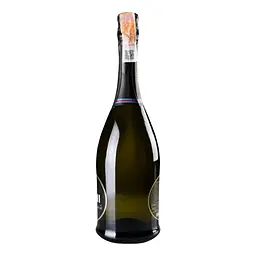 Упаковка ігристого вина Martini Brut біле брют 4.5 л (0.75 л х 6 шт.) - мініатюра 4
