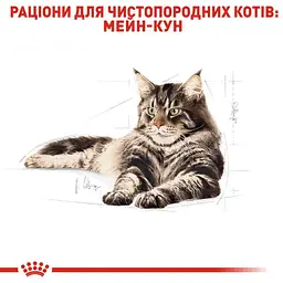 Набір вологого корму для дорослих кішок породи мейн-кун Royal Canin Maine Coon Adult шматочки в соусі 1.02 кг (12 шт. х 85 г) - мініатюра 4