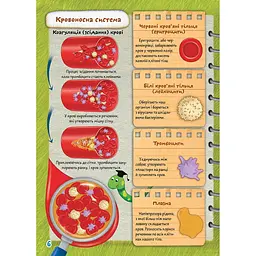 Вчимося на відмінно. Школа чомучки. Тіло (9789669890863) - мініатюра 3