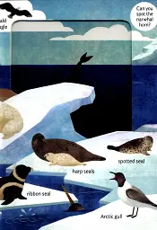 Look Closer into the Arctic - мініатюра 5