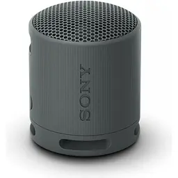 Портативна акустика Sony SRS-XB100 Black (SRSXB100B)