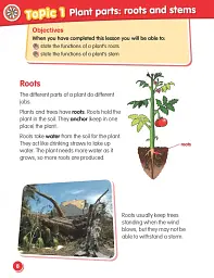 Macmillan Science. Level 3. Student's Book & eBook Pack - мініатюра 2