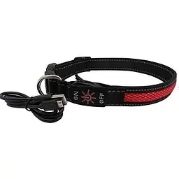 Нашийник для собак AnimAll LED M 2,5/40-50 см, червоний