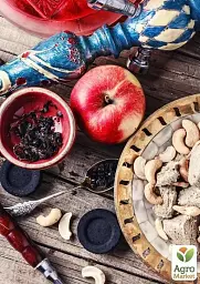 Саджанець Agro-Market Яблуня Бені Шогун (зимовий сорт, пізній термін дозрівання) 1 шт. в упаковці (25745) - мініатюра 2