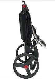 Сумка-візок Rolser I-Max MF 2LRSG More (IMX308-1008) - мініатюра 6
