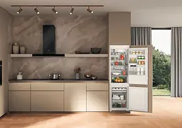 Холодильник Whirlpool WHC18D011C1 SF (7152542) - мініатюра 6