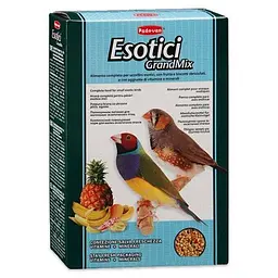 Повсякденний корм Padovan GrandMix Esotici для екзотичних птахів 400 г