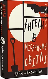 Дублінська трилогія. Книга 0: Ангели в місячному світлі - мініатюра 2