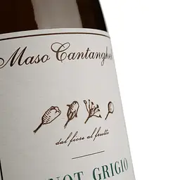 Вино Maso Cantanghel Pinot Grigio 2017, біле, сухе, 13,5%, 0,75 л (34584) - мініатюра 3