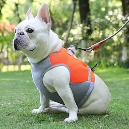 Літній охолоджувальний жилет для собак Derby Summer Dog Cooling Vest PPA0116-4, Orange, S - мініатюра 3