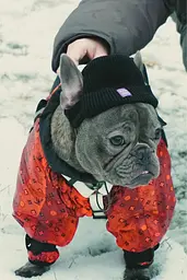 Шапка для собак Hat-Dog чорна (L) - мініатюра 6