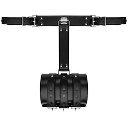Фіксатор Bedroom Fantasies Blissfully Bound Arm RestRaint Set - мініатюра 2