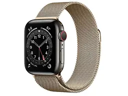 Смарт-годинник Apple Watch Series 6 GPS + Cellular 40mm Graphite S. Steel Case w. Gold Milanese Loop (M0DF3/M0DW3)