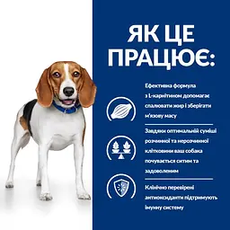 Сухий корм Hill’s Prescription Diet r/d для собак для зниження ваги з куркою 10 кг - мініатюра 7