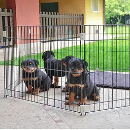 Вольєр для собак Ferplast Pen Black Dog Training чорний 80×80×62 см 73300025 - мініатюра 4