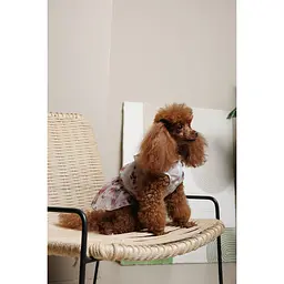 Сукня Pet Fashion Amelia для собак S - мініатюра 8