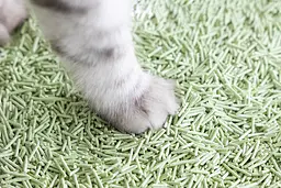 Наповнювач для котячих туалетів UniQ PETS Tofu Green Tea біорозкладний 5 кг - мініатюра 7
