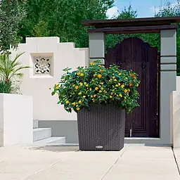Вазон Lechuza Cube Cottage 40 пісочно-коричневий (15386) - мініатюра 7