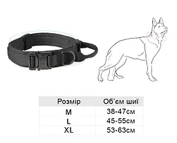 Нашийник для собак з повідцем Harness, нейлоновий з металевою пряжкою-фастекс Чорний, L - мініатюра 6