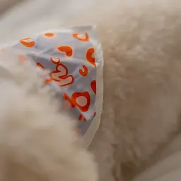 Набір бандана Hat-Dog + резинка (XL) - мініатюра 6