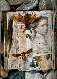 Peter Beard - мініатюра 4
