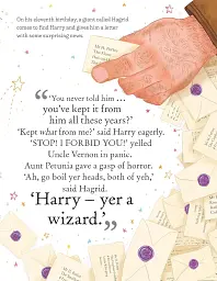 Pocket Potters: Harry Potter - Ролінґ Джоан - мініатюра 3
