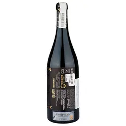 Вино Bodegas Tridente Rejon, червоне, сухе, 0,75 л (W8566) - мініатюра 2
