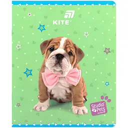 Зошит  Kite Studio Pets в клітинку 24 аркуші зелений