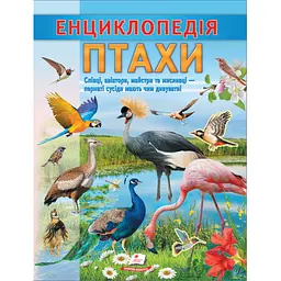 Енциклопедія. Птахи (Цікава енциклопедія у подарунок розумійкам)