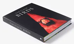 Birds. Photographs - мініатюра 2