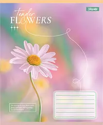 Упаковка зашитів 1В Tender Flowers учнівський загальний 10 шт./60 лін. (768083) - мініатюра 5