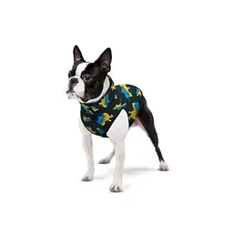 Курточка для собак Waudog Clothes, Дім, XS25 - мініатюра 3