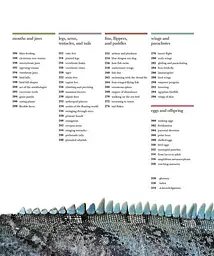 The Science of Animals - мініатюра 4